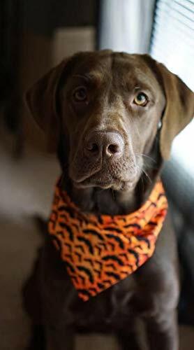 KZHAREEN 2 Pack Halloween Dog Bandana Reversible Triangle Scarf Large