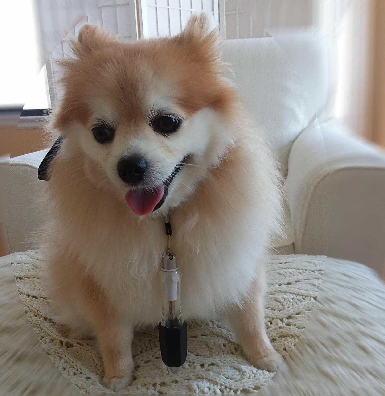 Thixotropic Super Big Fat Pens Hex Silicone Grip Large Black Ink 2 Pack