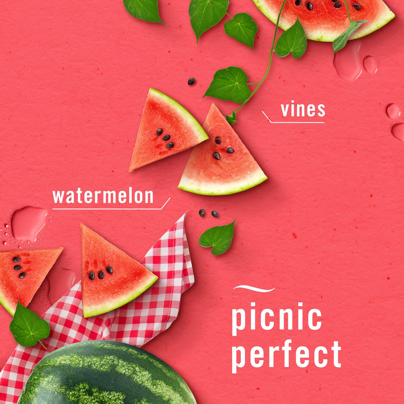 Febreze Bathroom Air Freshener Plug-In Watermelon & Lilac Scent 4 Count