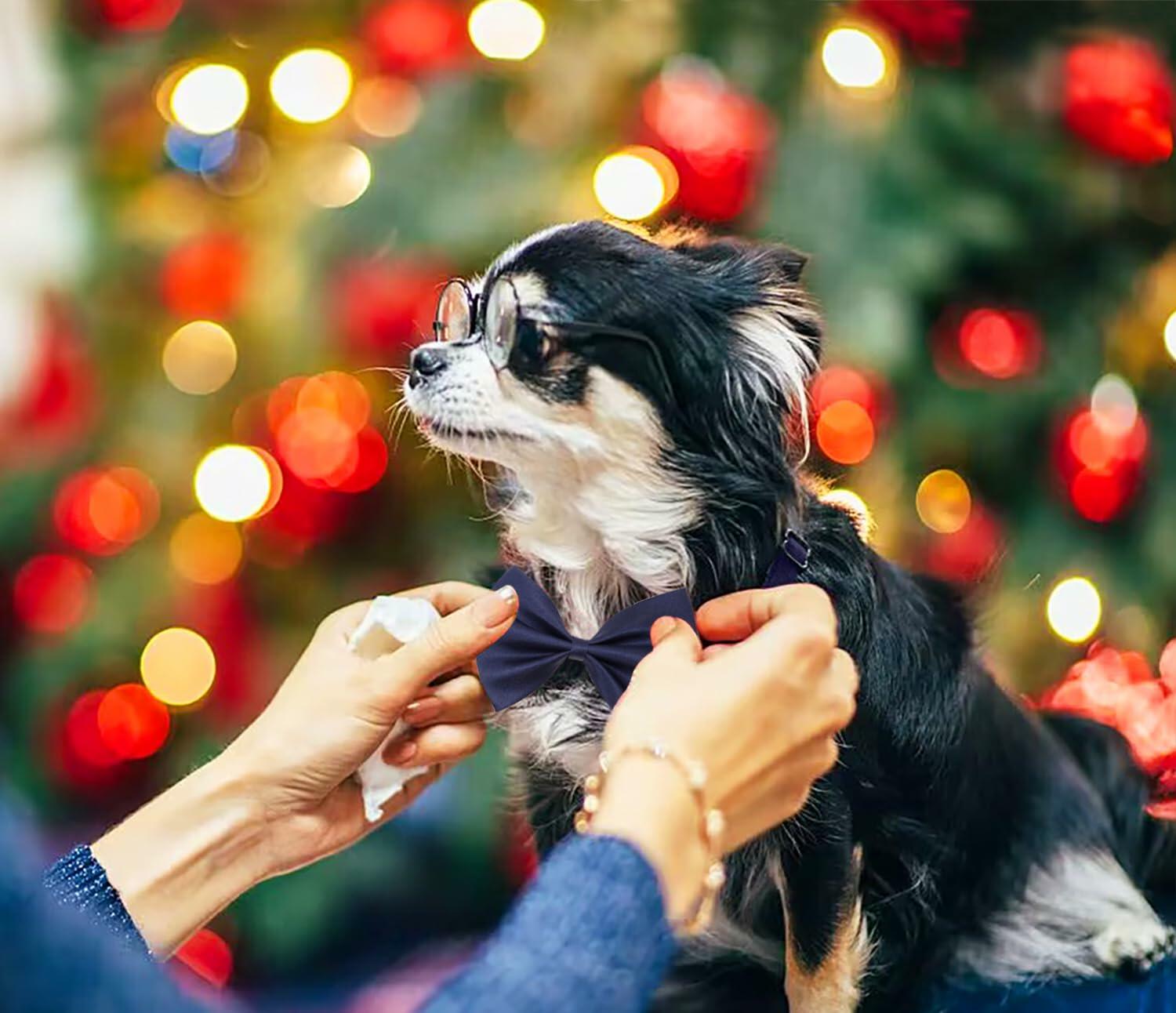 PPhtony 2pcs Satin Pre-Tied Bow Ties Adjustable Formal Tuxedo Purple