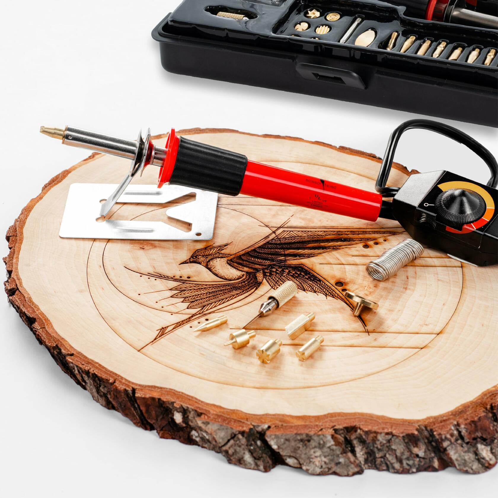 Wood Burning Kit 22PCS Adjustable Temp Pen with 18 Tips & Accessories Case