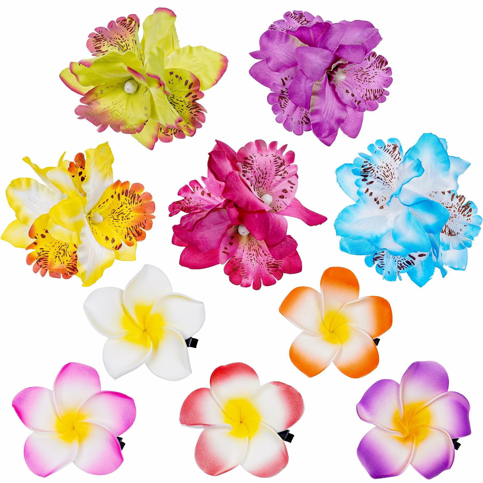 KorViSHOW Hawaiian Flower Hair Clips 10 Pcs Multicolor Plumeria Orchid
