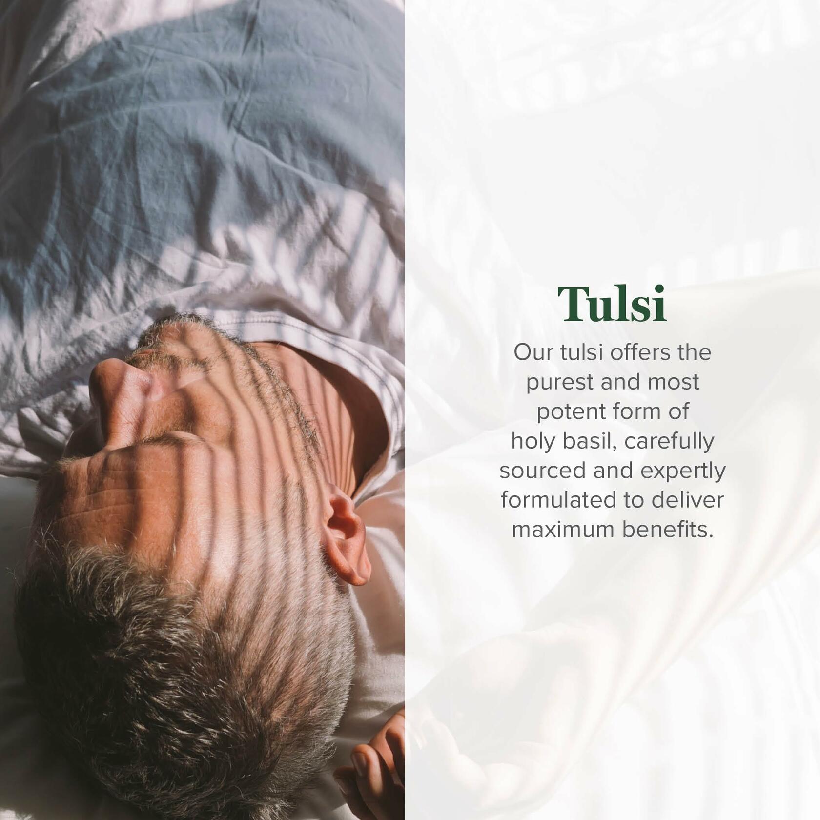 BEST BY 10/2026 Global Healing Center Organic Tulsi Holy Basil Liquid Supplement