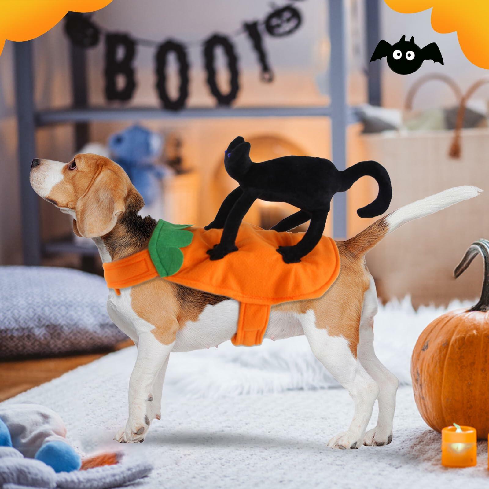 stepsin Dog Saddle Halloween Cat Riding Knight Costume Pet Clothes Size M