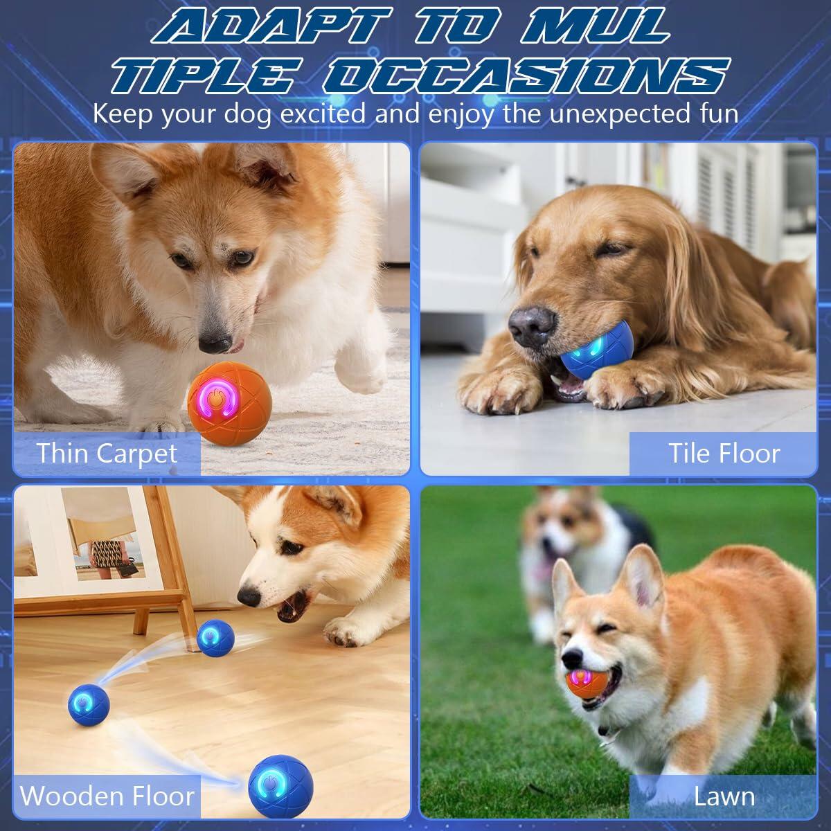 NIUYOU Vibrating Shaky Dog Ball Toy USB Rechargeable 2PCS Small-Med-Large B