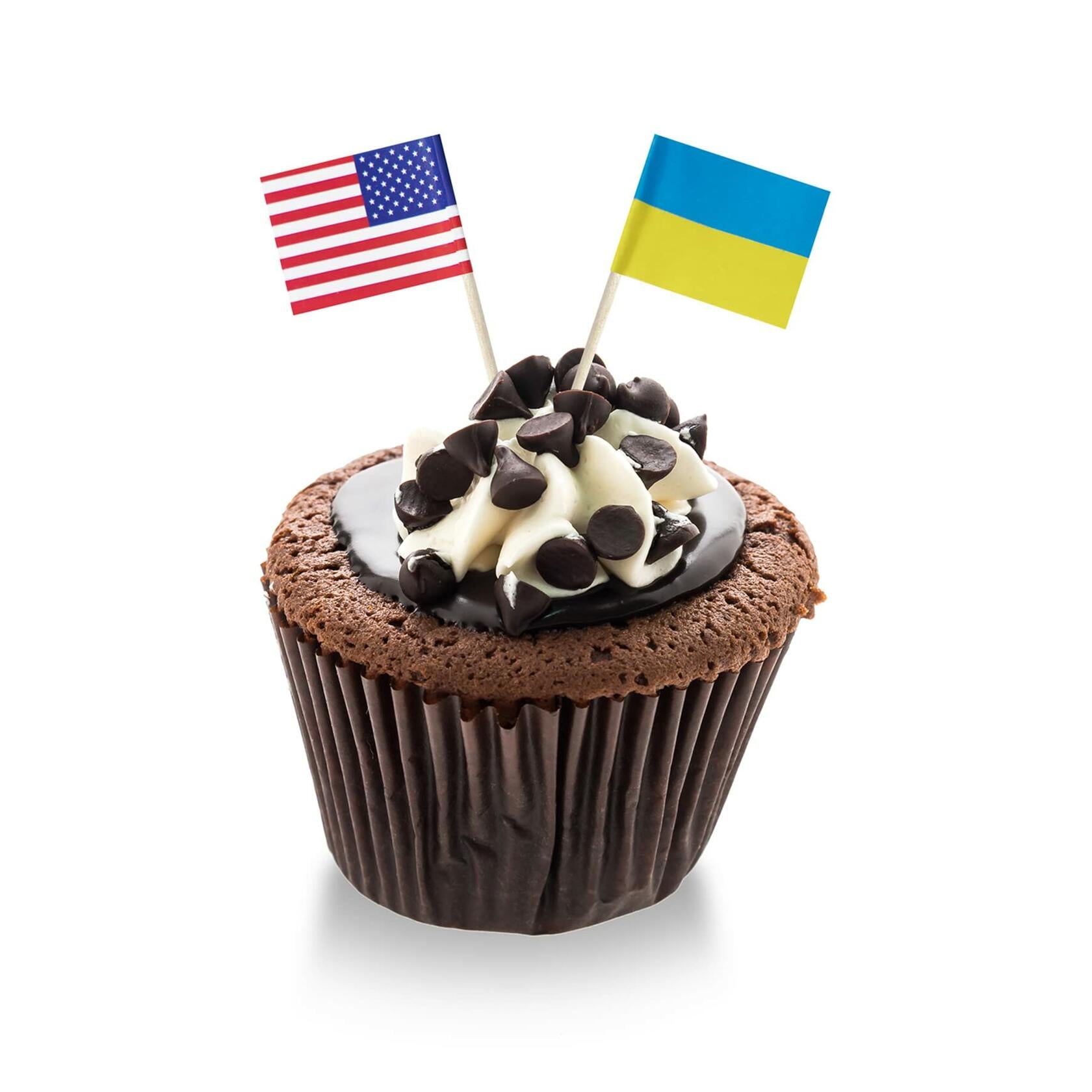 Foocal Cake Topper Flags Ukraine US Paper 1.3x1in 200pcs with Toothpicks