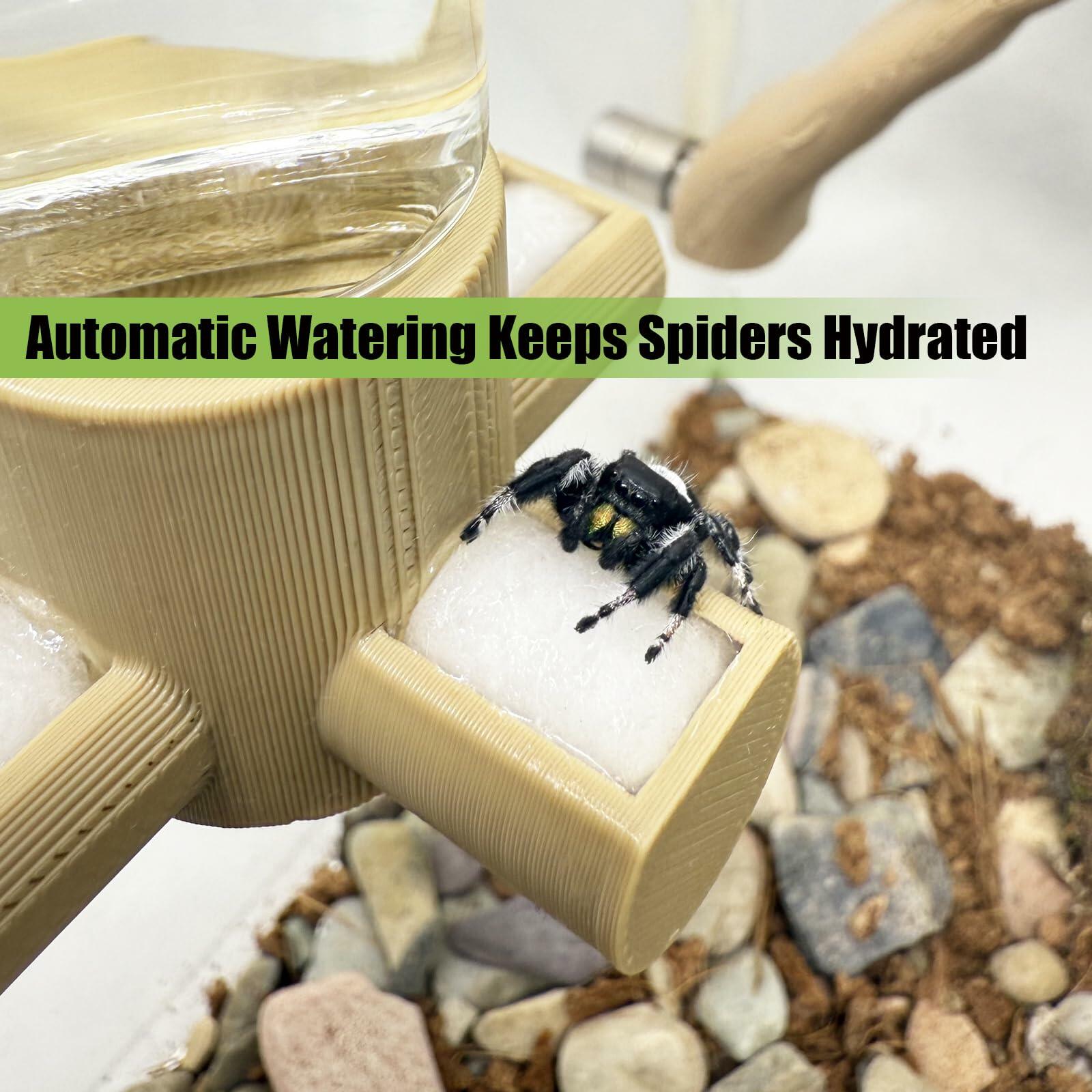 Daerky Jumping Spider Water Dispenser Magnetic Hanging Feeder Pink 15ML