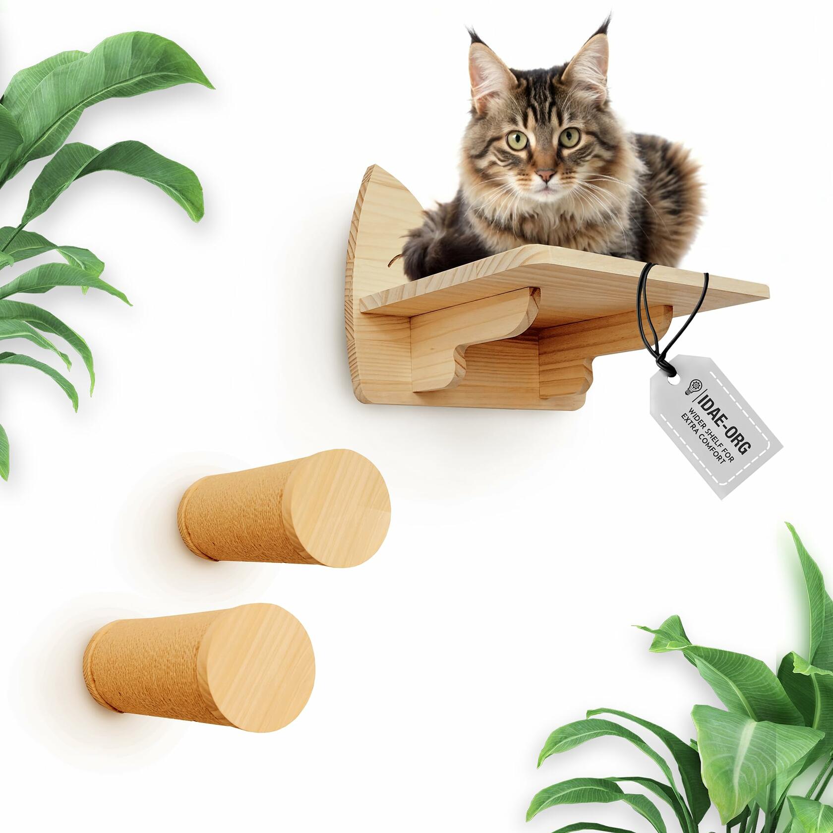 IDAE Cat Wall Shelves Set of 3 Solid Wood Natural Climbing Furniture