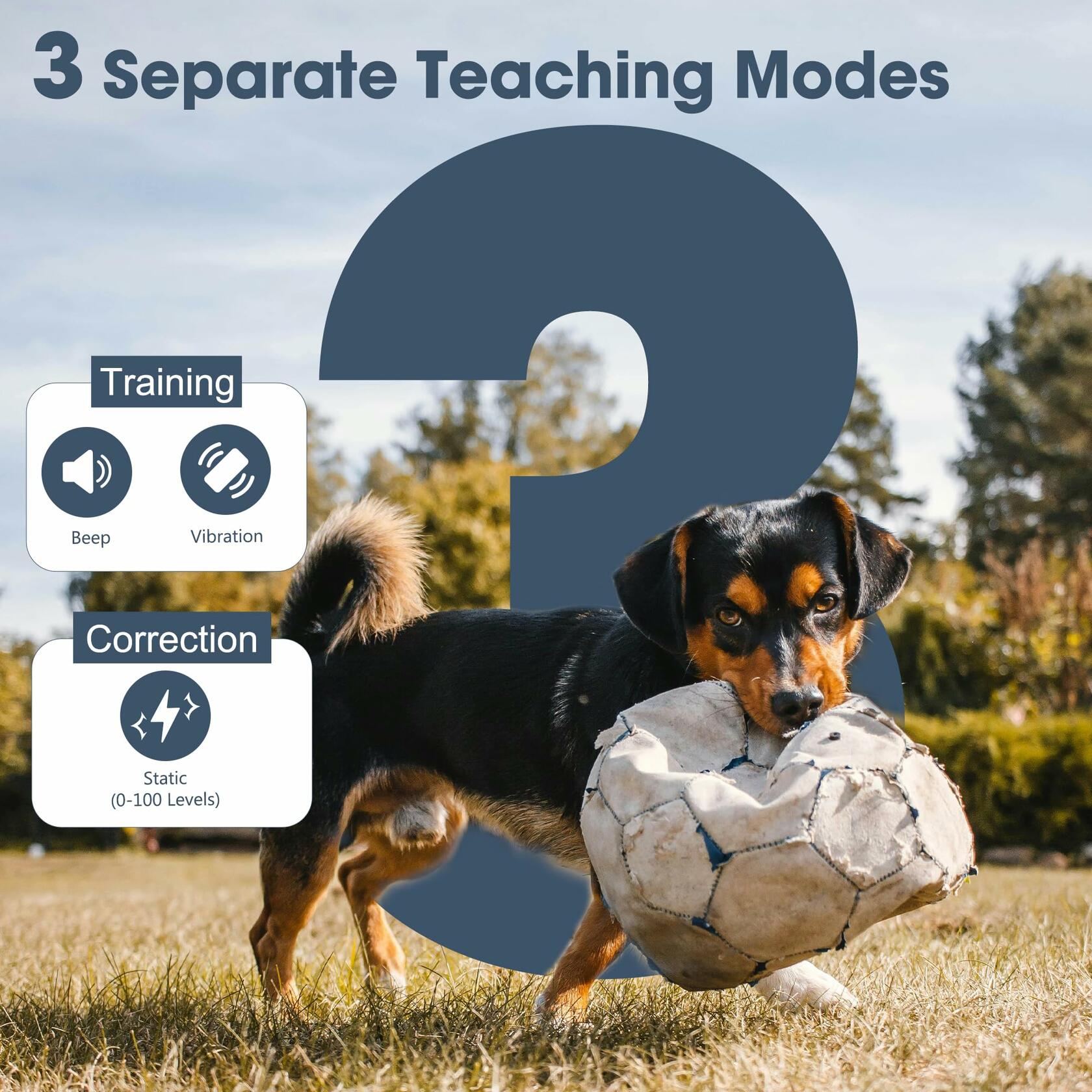 TingLanLeaf Dog Training Collar 5280FT Remote Waterproof Rechargeable