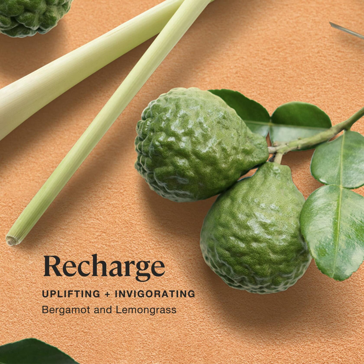 Sprig by Kohler Aromatherapy Candle - 4 Pack (Shield, Breathe, Recharge, Sleep)