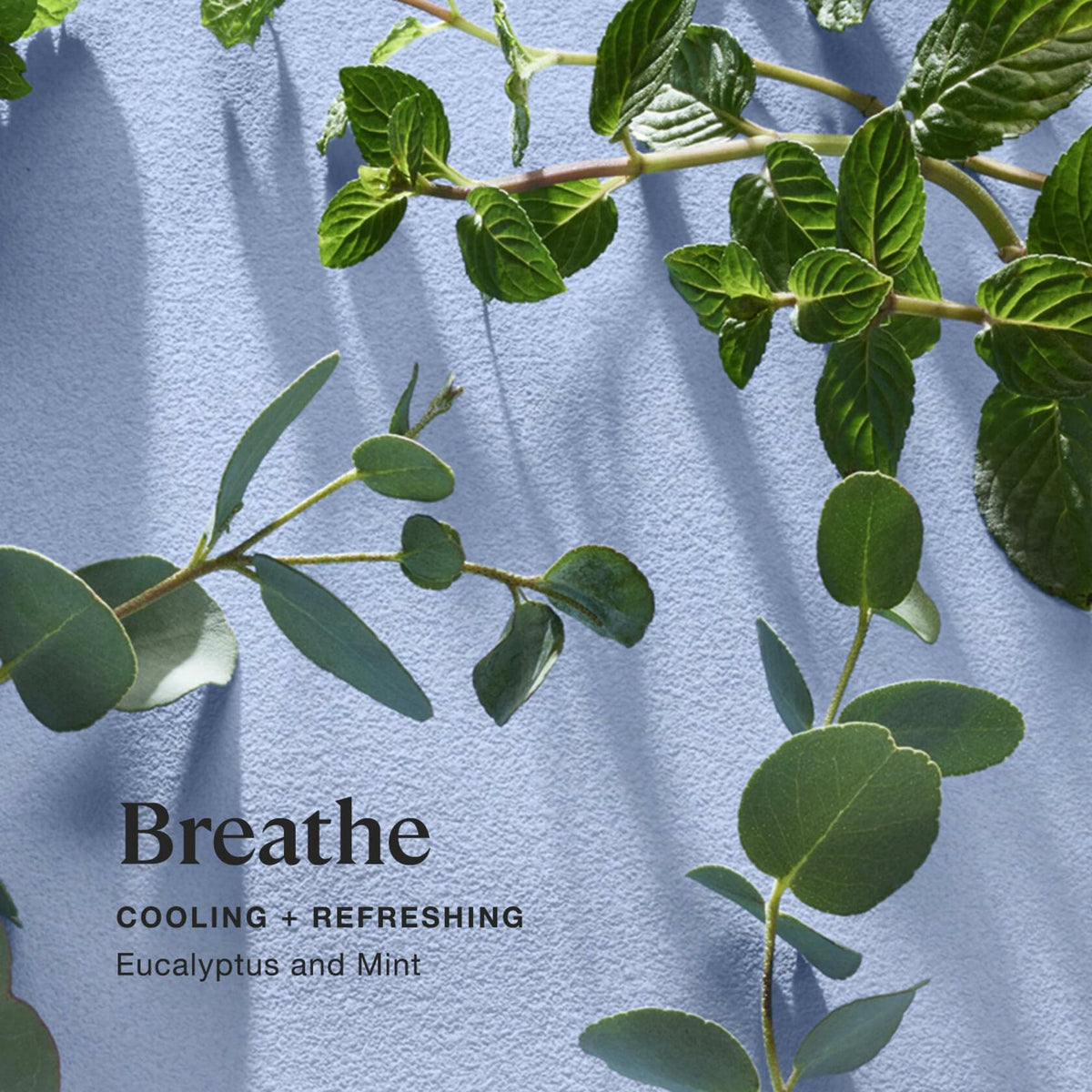 Sprig by Kohler Aromatherapy Candle - 4 Pack (Shield, Breathe, Recharge, Sleep)
