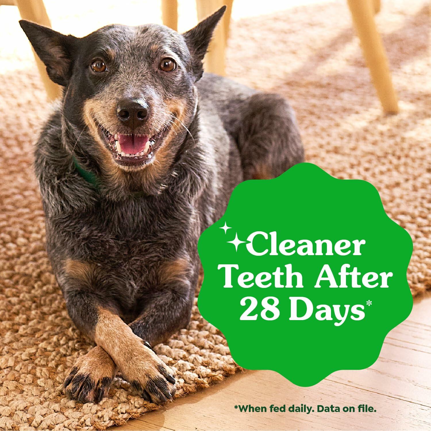 Greenies Adult Natural Dental Dog Treats Petite Original Flavor 120 Treats