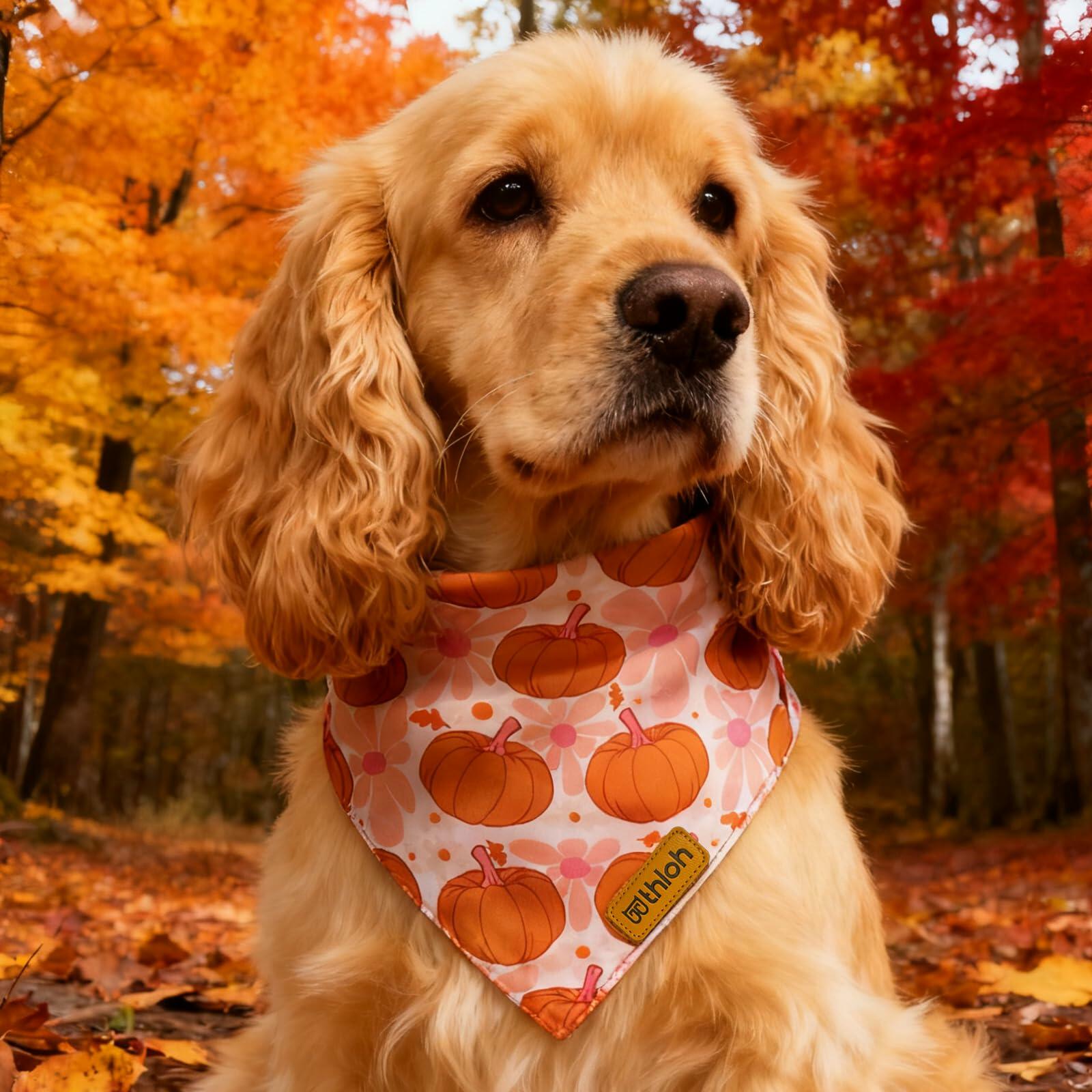 THLOH Fall Dog Bandanas 2 Pack Reversible Pumpkin Leaf Orange Large