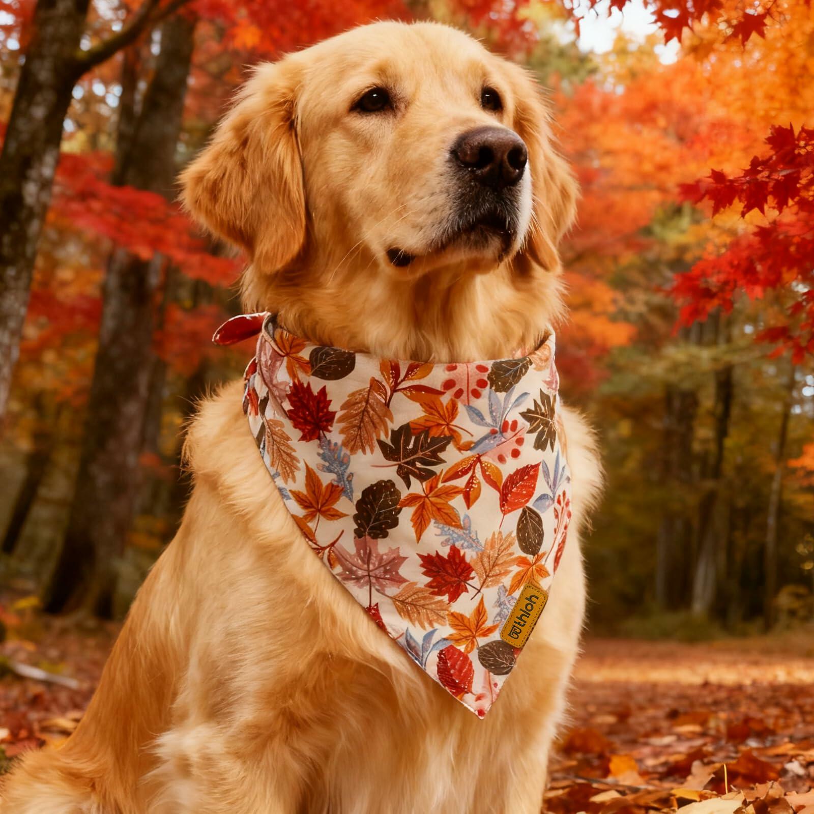 THLOH Fall Dog Bandanas 2 Pack Reversible Pumpkin Leaf Orange Large