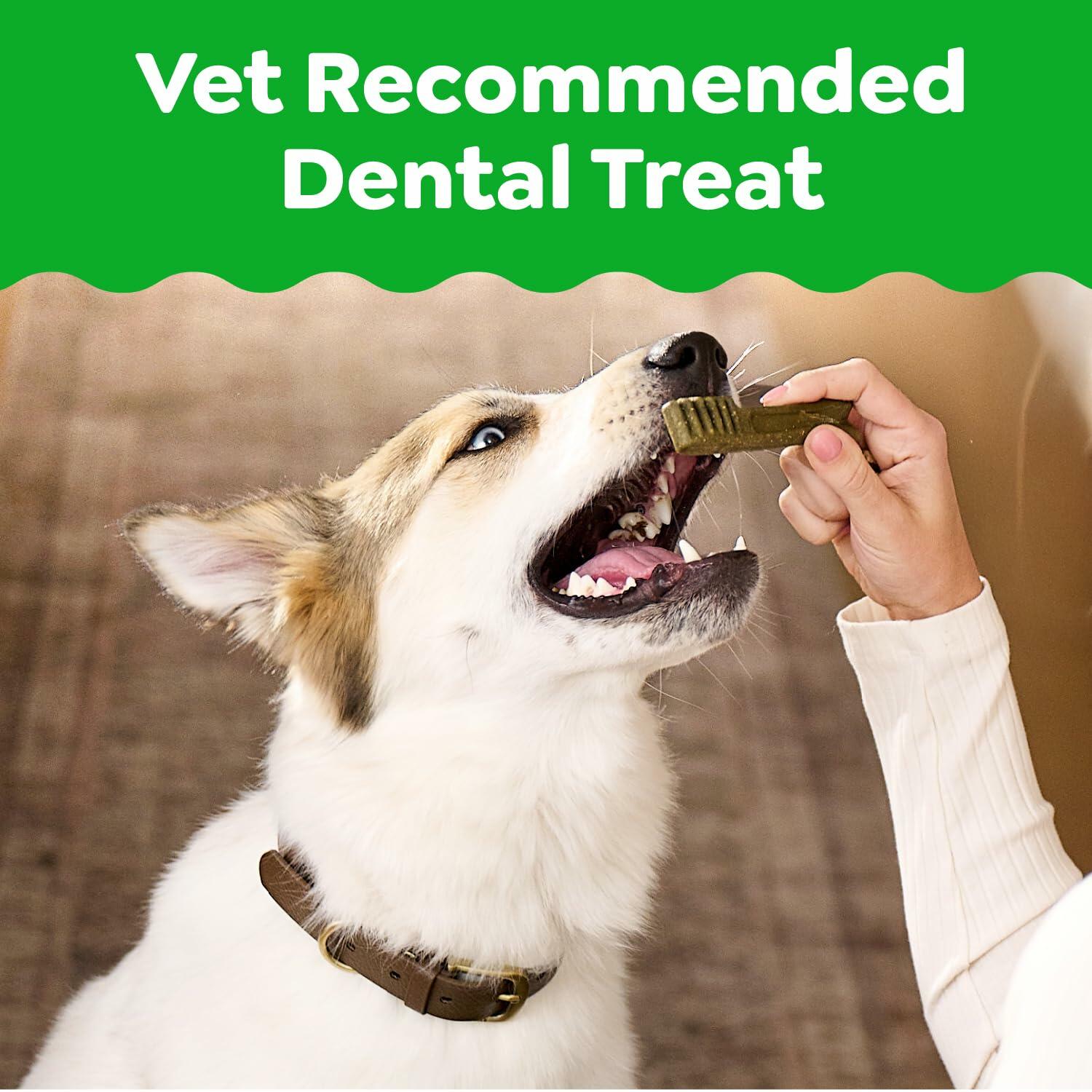 Greenies Adult Natural Dental Dog Treats Petite Original Flavor 120 Treats