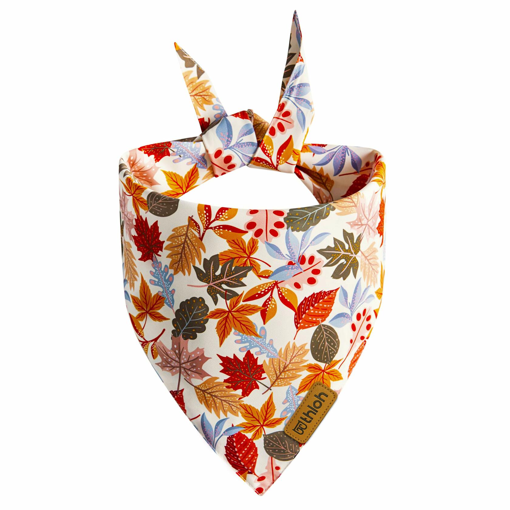 THLOH Fall Dog Bandanas 2 Pack Reversible Pumpkin Leaf Orange Large