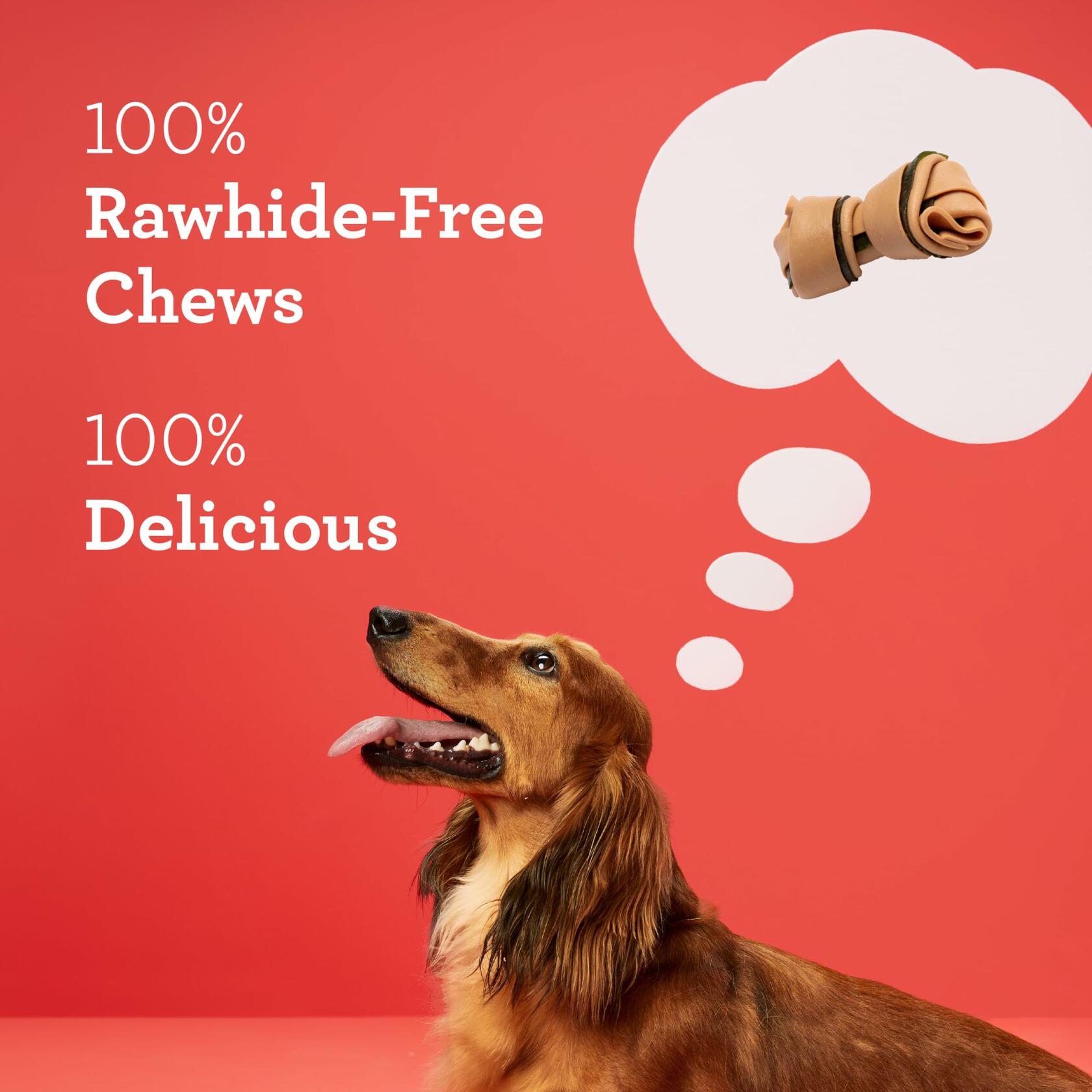 DreamBone Dental Dog Chews Rawhide Free Dental Treats 16 Count Tartar Breath