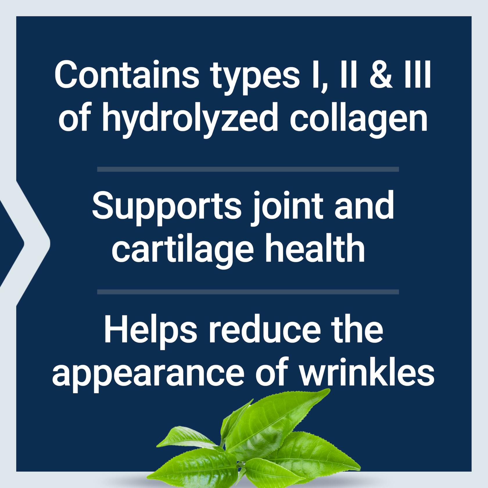Life Extension Collagen Peptides Types I II III Powder 343g Gluten Free Non-GMO