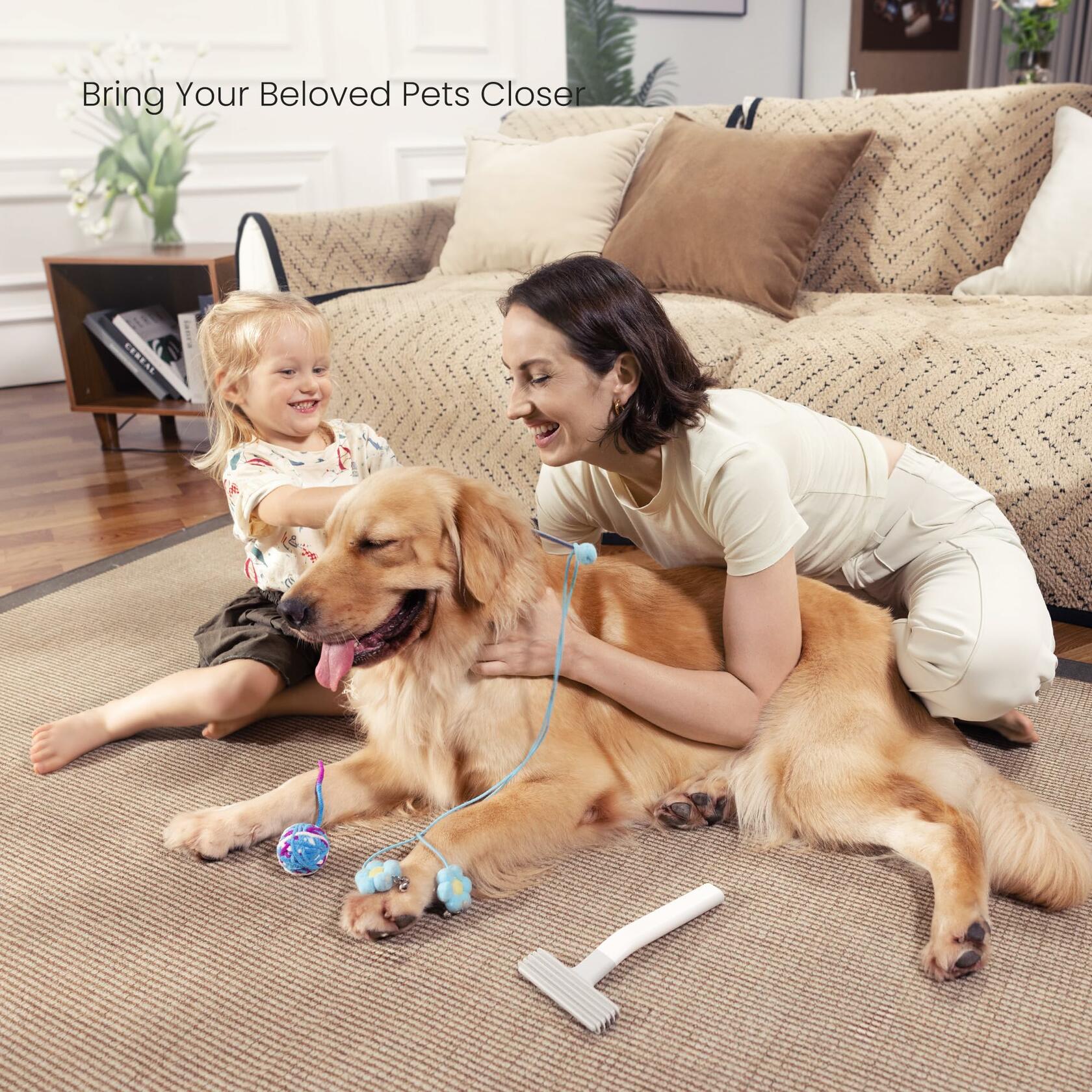 dancemoon Pet Hair Removal Brush Reusable Fabric-Friendly for Couch Car Rug