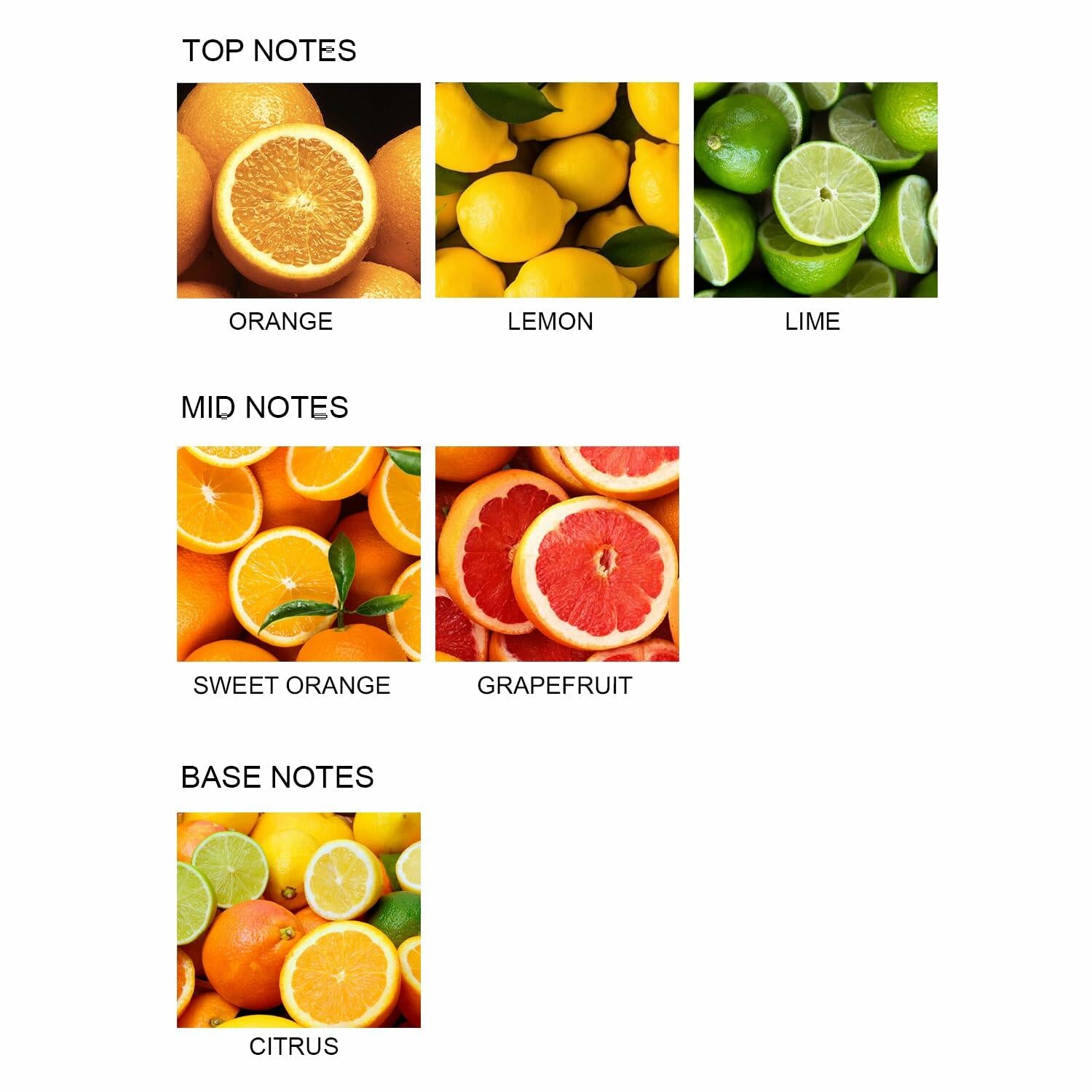 UCC Reed Diffuser Set 3.38oz Pure Orange Scented Glass Home Fragrance