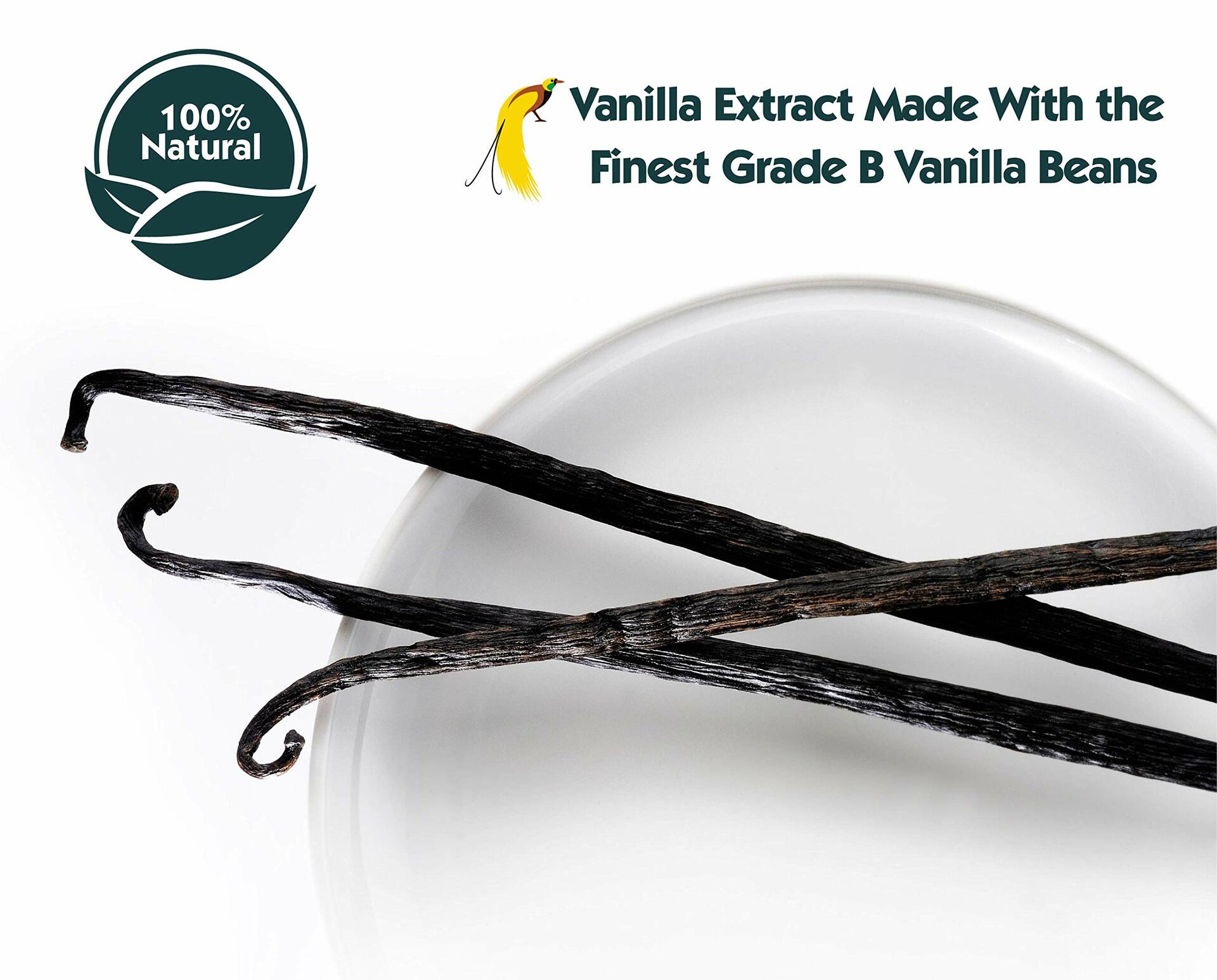 Native Vanilla Pure Vanilla Extract 16 oz 100% Real Vegan Sugar Free