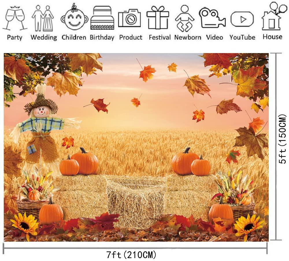 XCKALI Autumn Photography Background Thanksgiving Pumpkin Maple Leaf 7x5ft