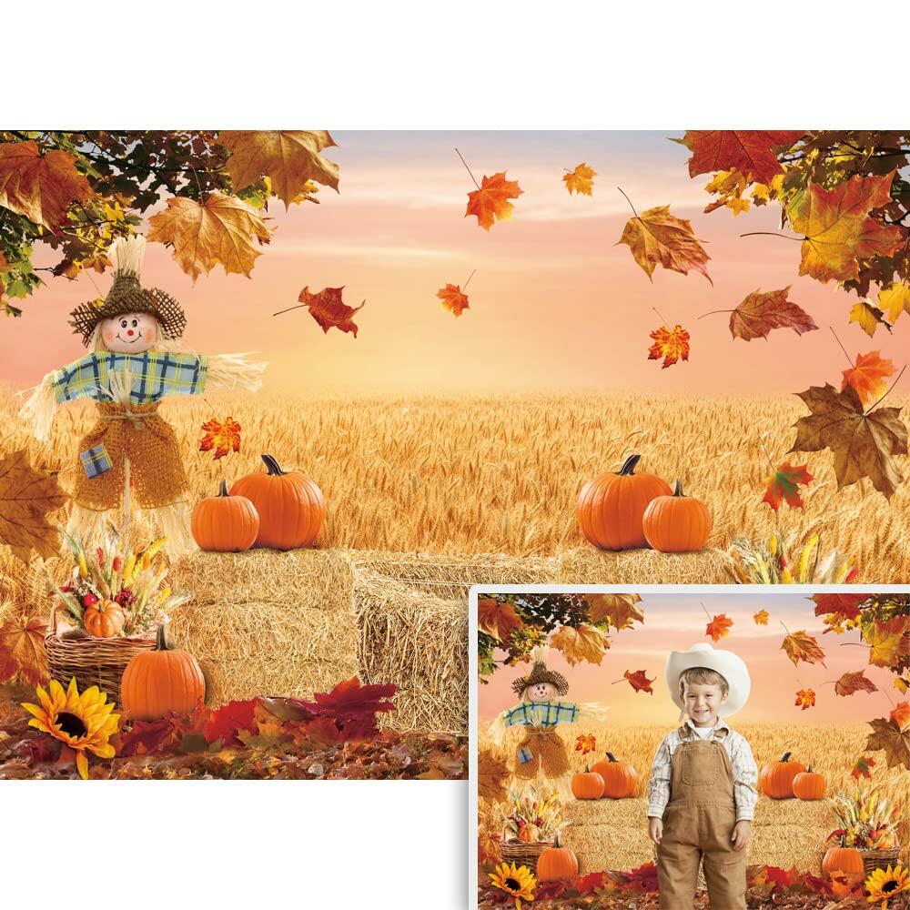XCKALI Autumn Photography Background Thanksgiving Pumpkin Maple Leaf 7x5ft
