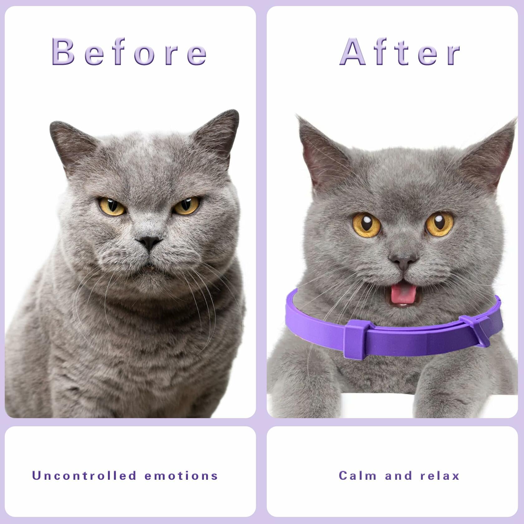 Simnice Cat Calming Collar 4 Pack Adjustable Pheromone Purple