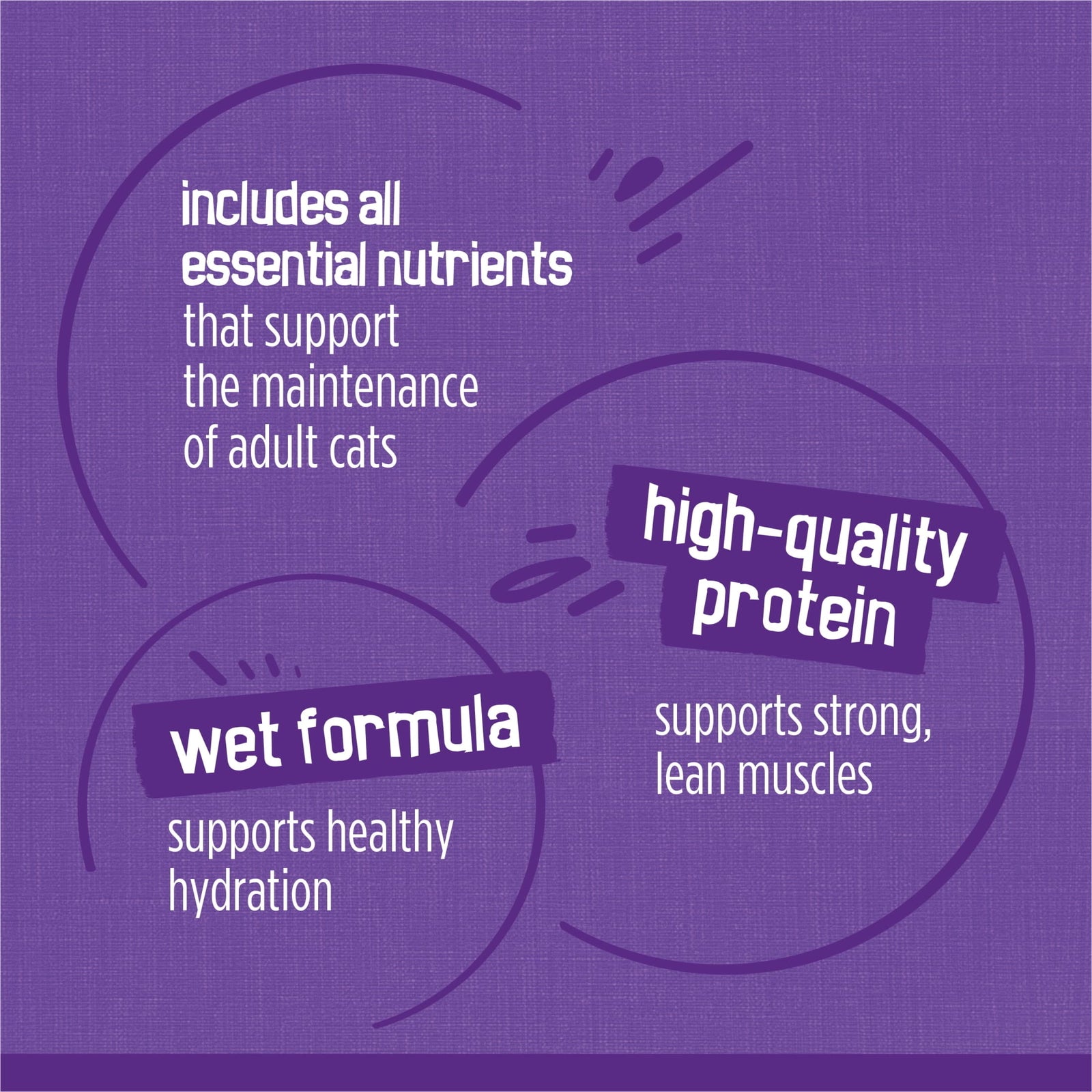 BestBy09/27 Friskies Gravy Variety Pack Meaty Bits Wet Cat Food 12 Pack 5.5oz