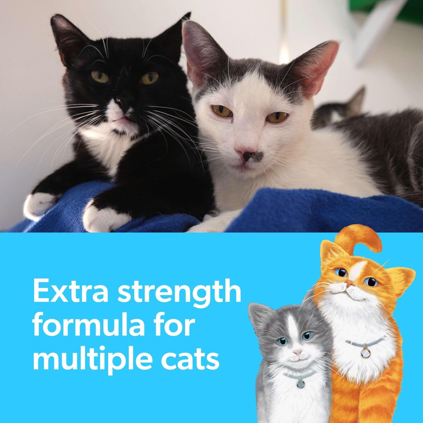Fresh Step Clumping Cat Litter Multi-Cat Activated Charcoal Low Dust 14 lb