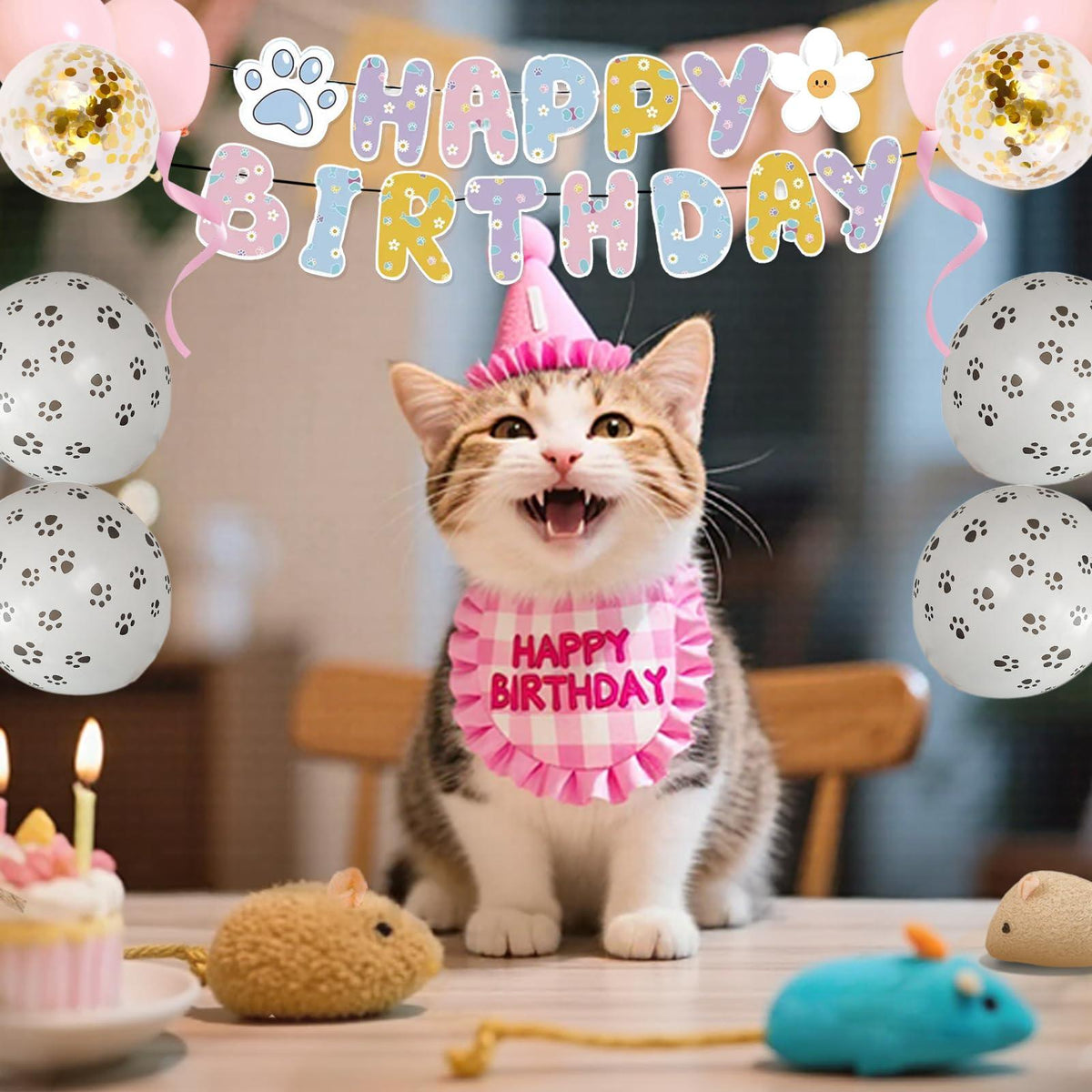 DFQ Pink Cat Birthday Party Kit