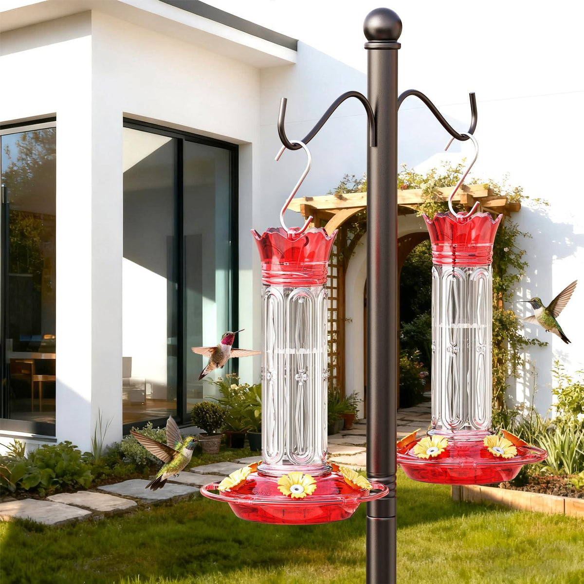Birdream Red 10-Ounce Crown Hummingbird Feeder